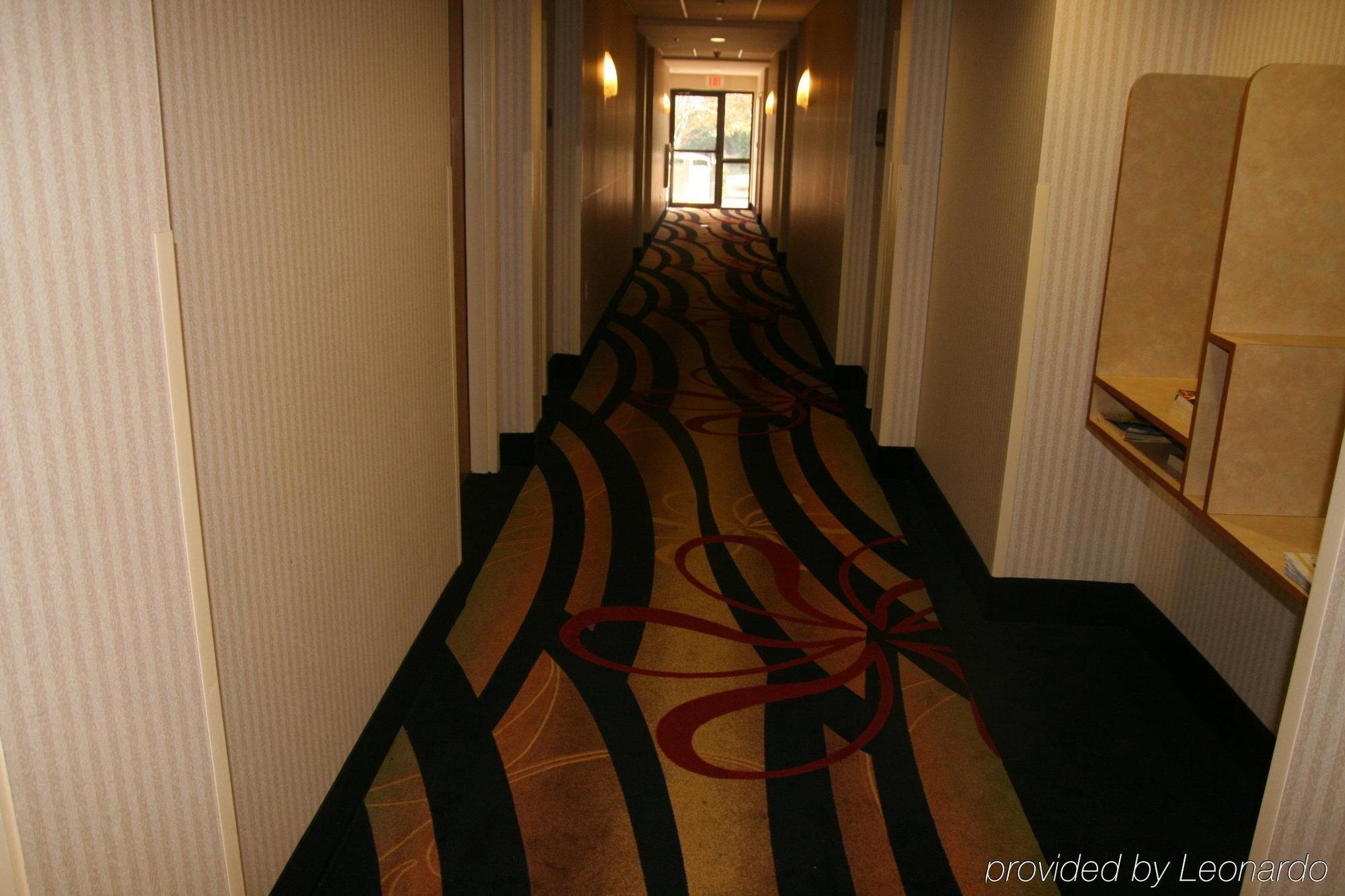 Holiday Inn Express Hotel & Suites Tampa-Anderson Road-Veterans Exp By Ihg West Chase Interiør billede
